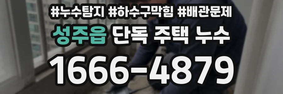 성주읍 단독 주택 누수