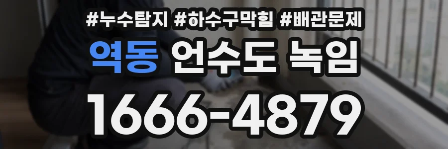 역동 언수도 녹임