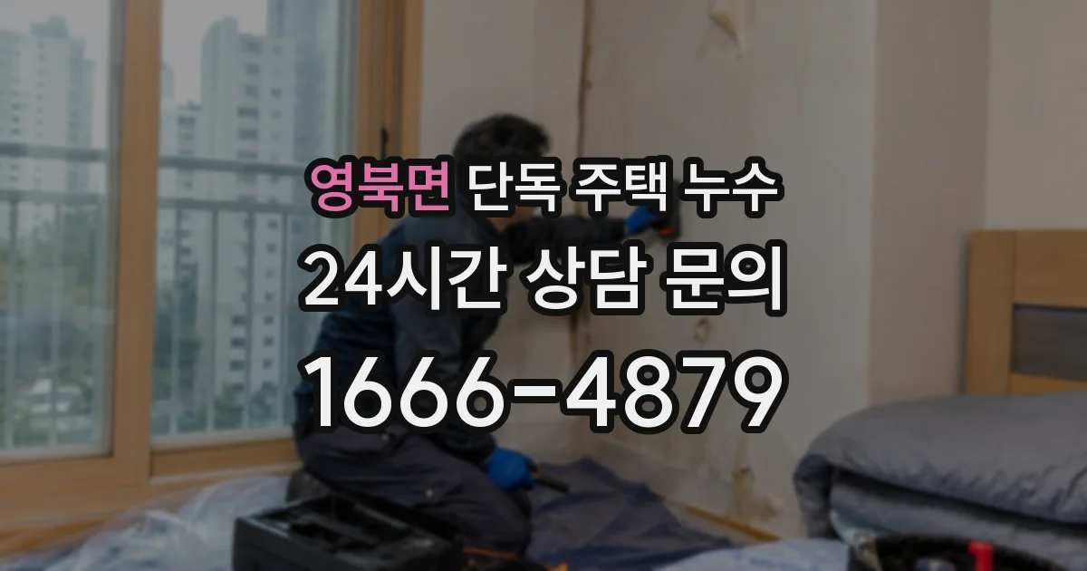 영북면 단독 주택 누수