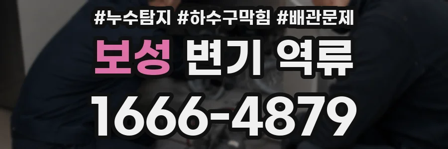 보성 변기 역류