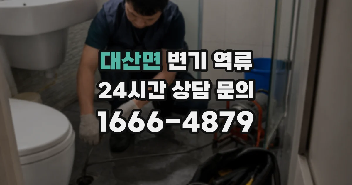 대산면 변기 역류