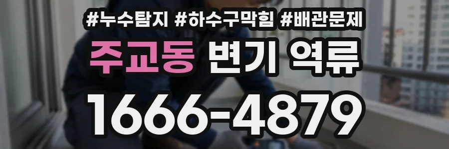 주교동 변기 역류