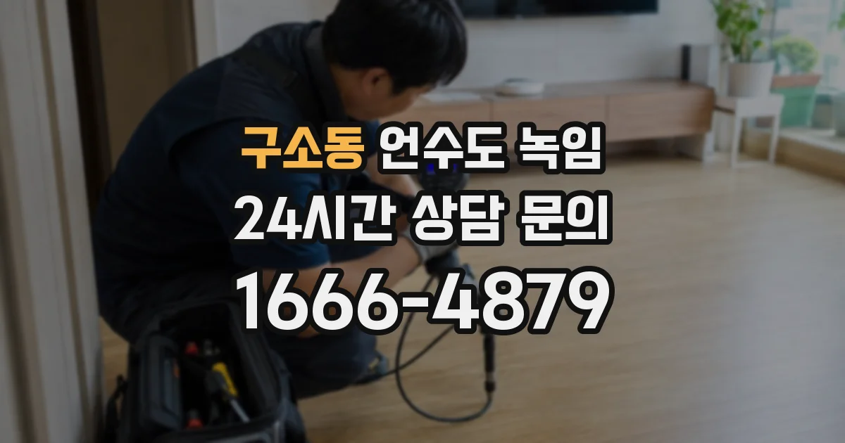 구소동 언수도 녹임