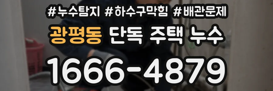 광평동 단독 주택 누수
