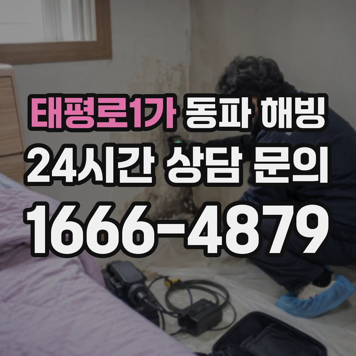 태평로1가 동파 해빙