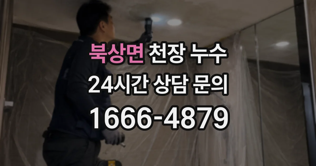 북상면 천장 누수