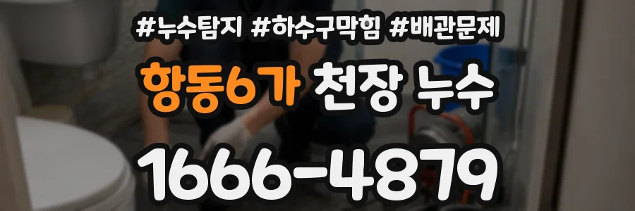 항동6가 천장 누수