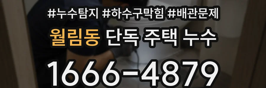 월림동 단독 주택 누수