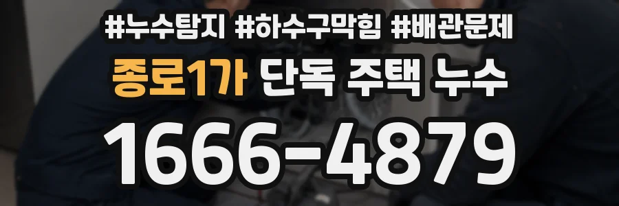 종로1가 단독 주택 누수