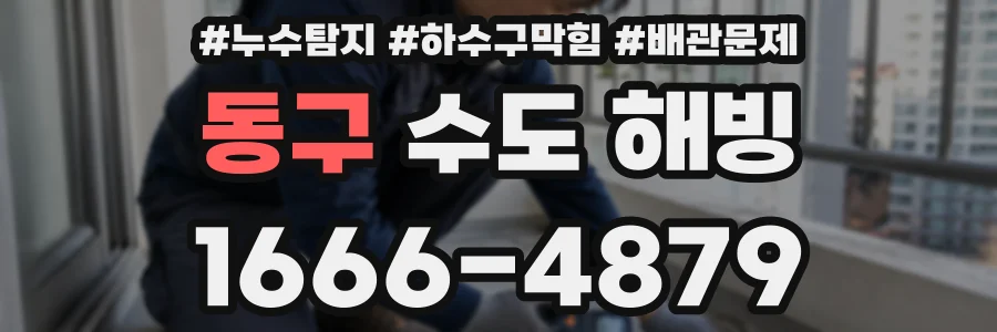 동구 수도 해빙