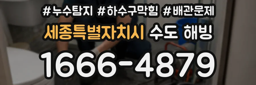 세종특별자치시 수도 해빙