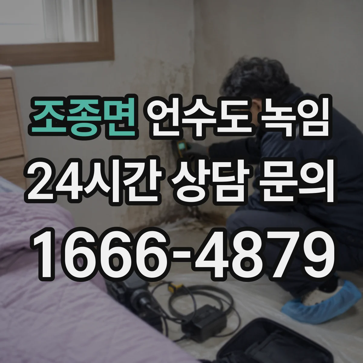 조종면 언수도 녹임