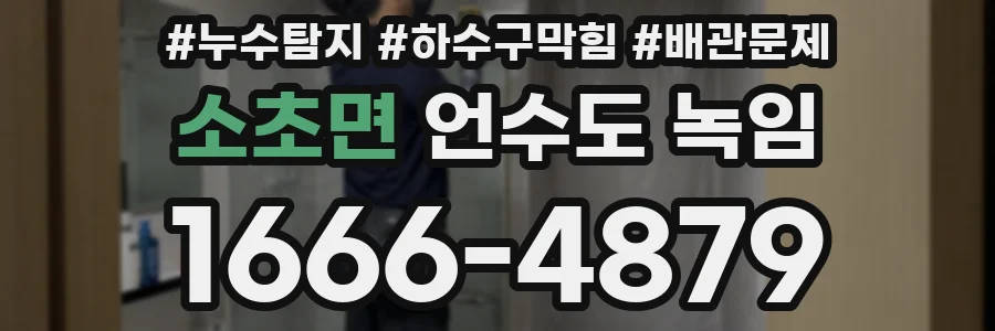 소초면 언수도 녹임