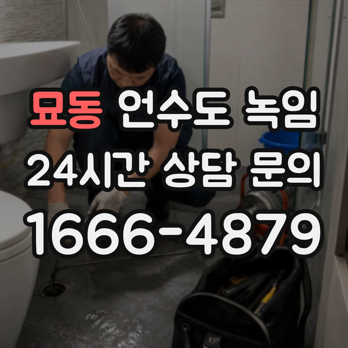 묘동 언수도 녹임