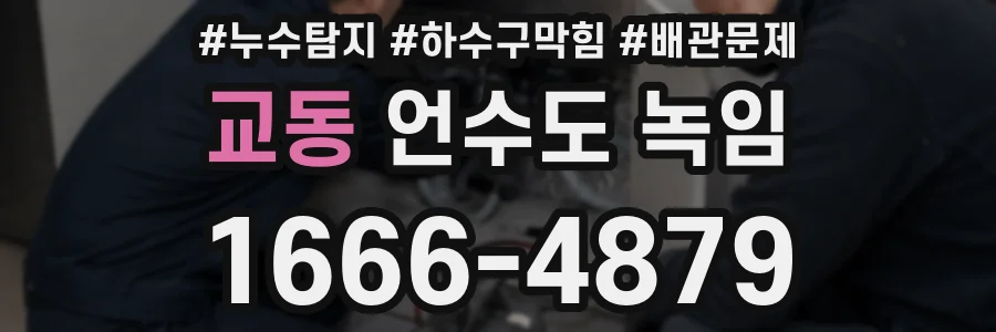 교동 언수도 녹임