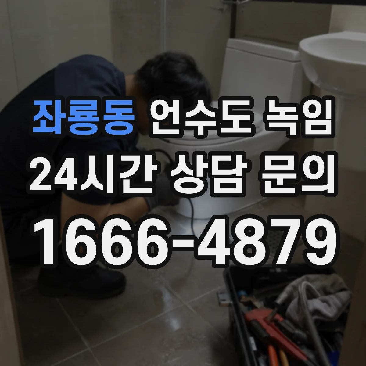 좌룡동 언수도 녹임