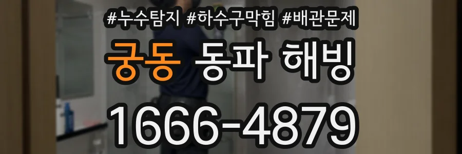 궁동 동파 해빙