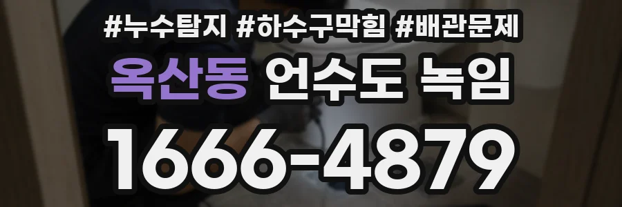 옥산동 언수도 녹임