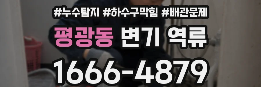 평광동 변기 역류