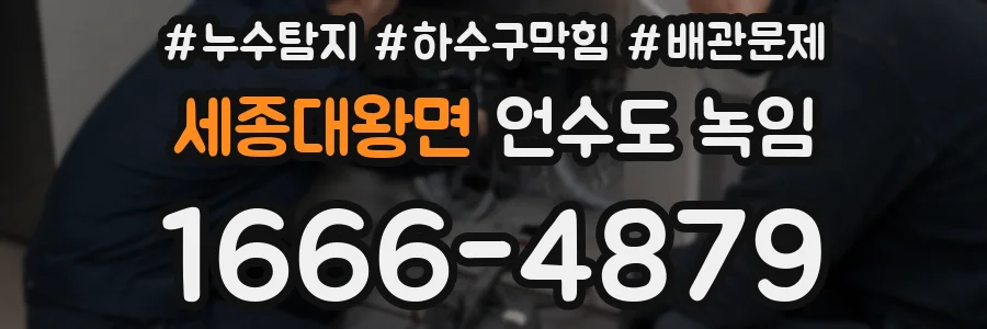 세종대왕면 언수도 녹임