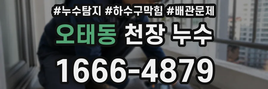 오태동 천장 누수
