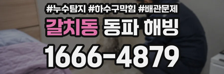 갈치동 동파 해빙