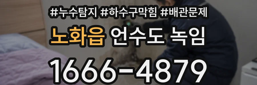 노화읍 언수도 녹임