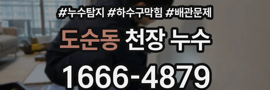 도순동 천장 누수
