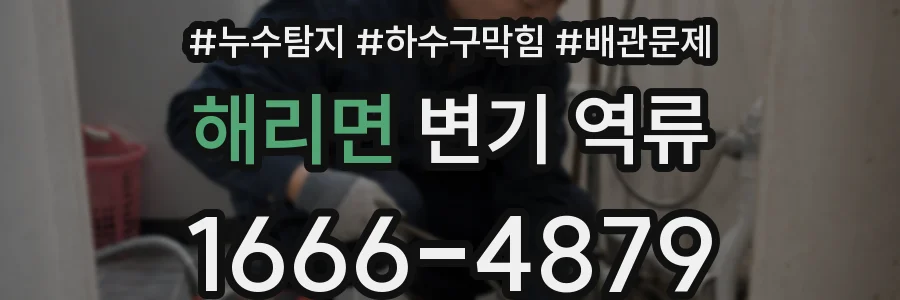 해리면 변기 역류
