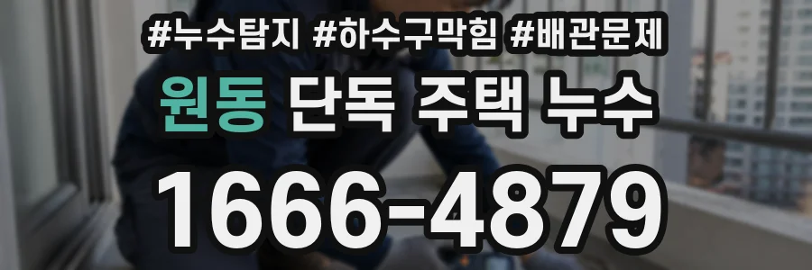 원동 단독 주택 누수