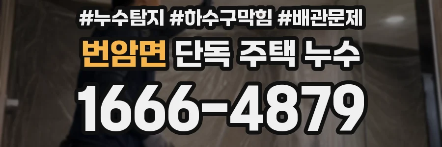 번암면 단독 주택 누수