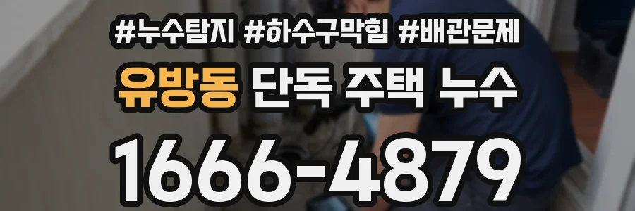 유방동 단독 주택 누수