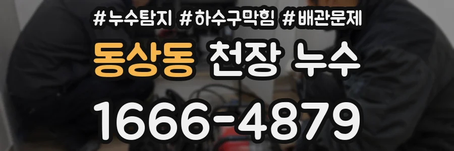 동상동 천장 누수