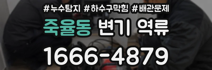 죽율동 변기 역류