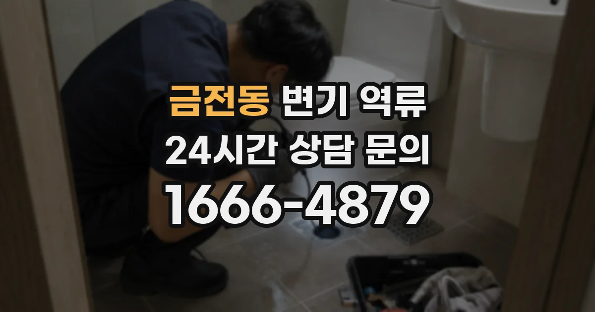 금전동 변기 역류