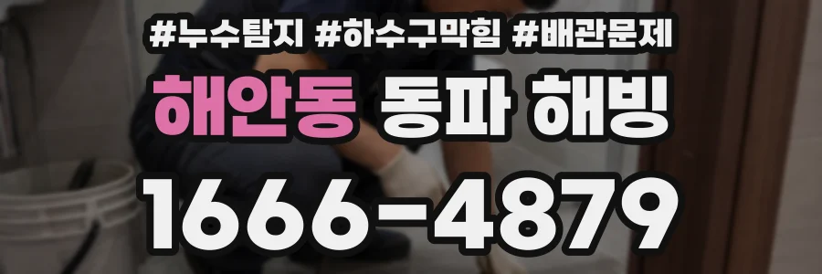 해안동 동파 해빙