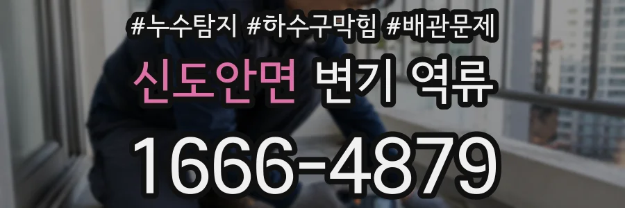 신도안면 변기 역류
