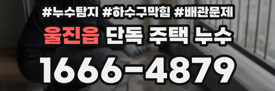 울진읍 단독 주택 누수