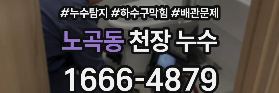 노곡동 천장 누수