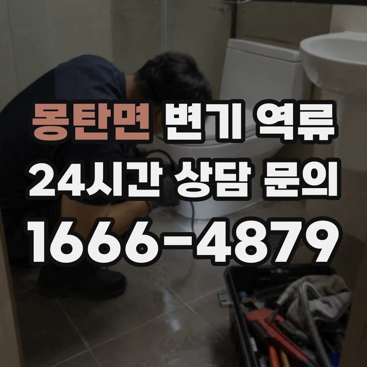 몽탄면 변기 역류