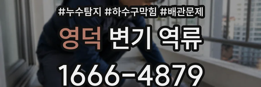 영덕 변기 역류