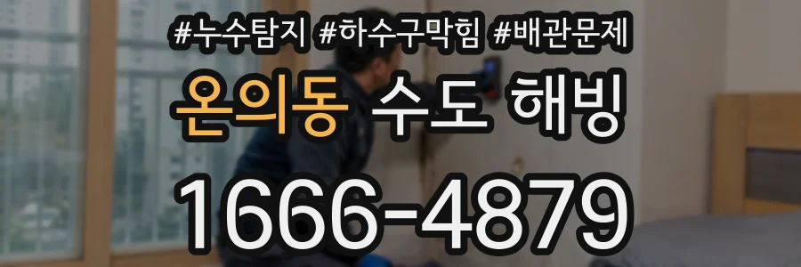 온의동 수도 해빙