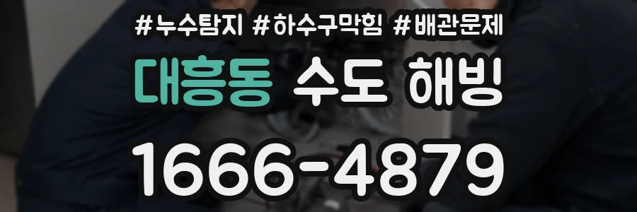 대흥동 수도 해빙