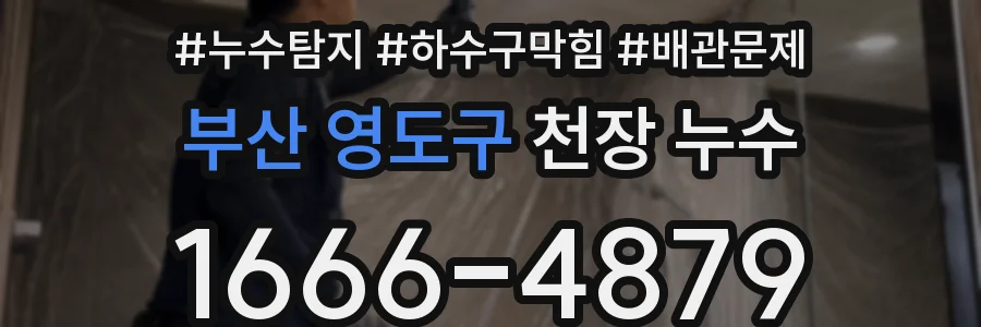 부산 영도구 천장 누수