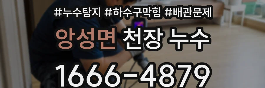 앙성면 천장 누수