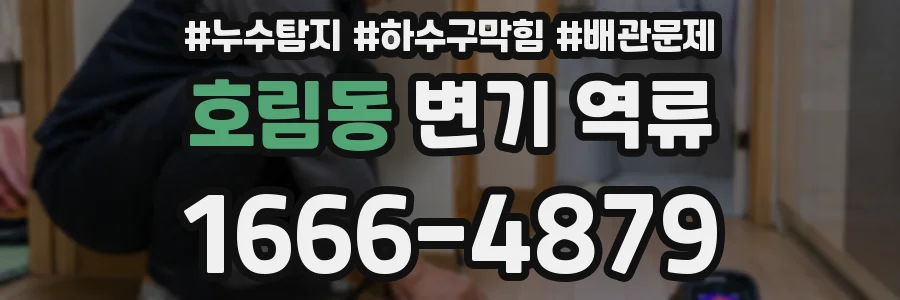 호림동 변기 역류