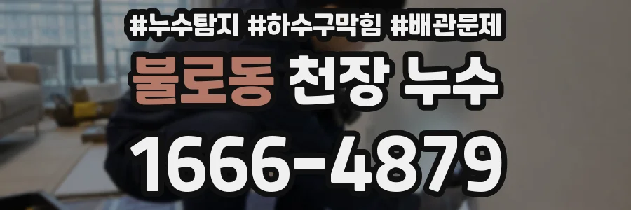 불로동 천장 누수