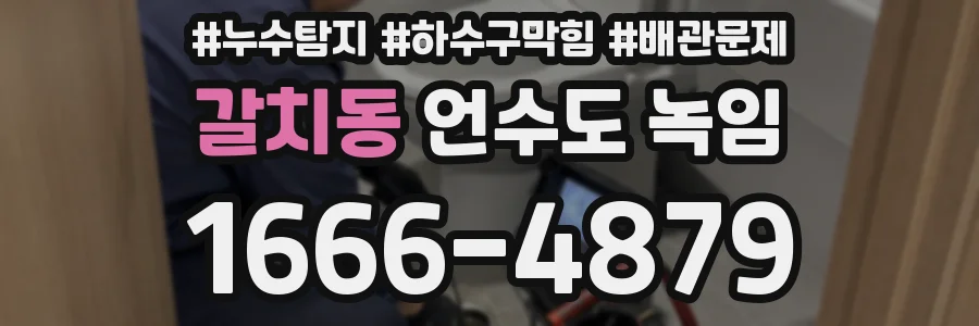 갈치동 언수도 녹임