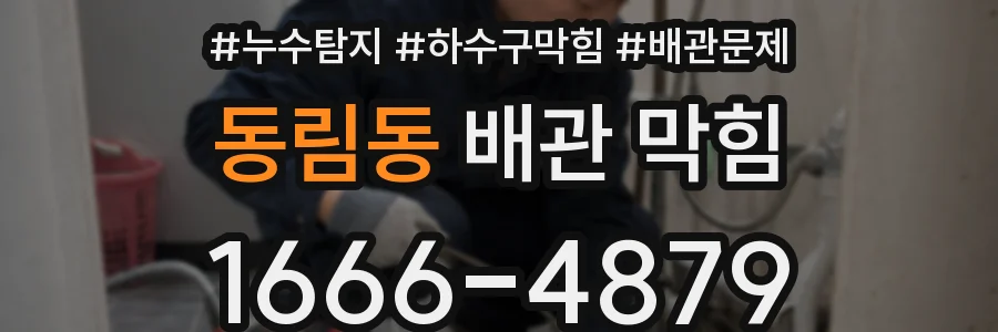동림동 배관 막힘