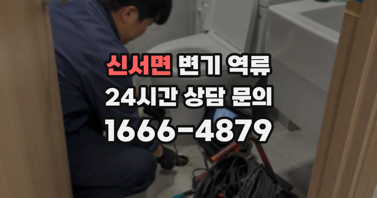 신서면 변기 역류